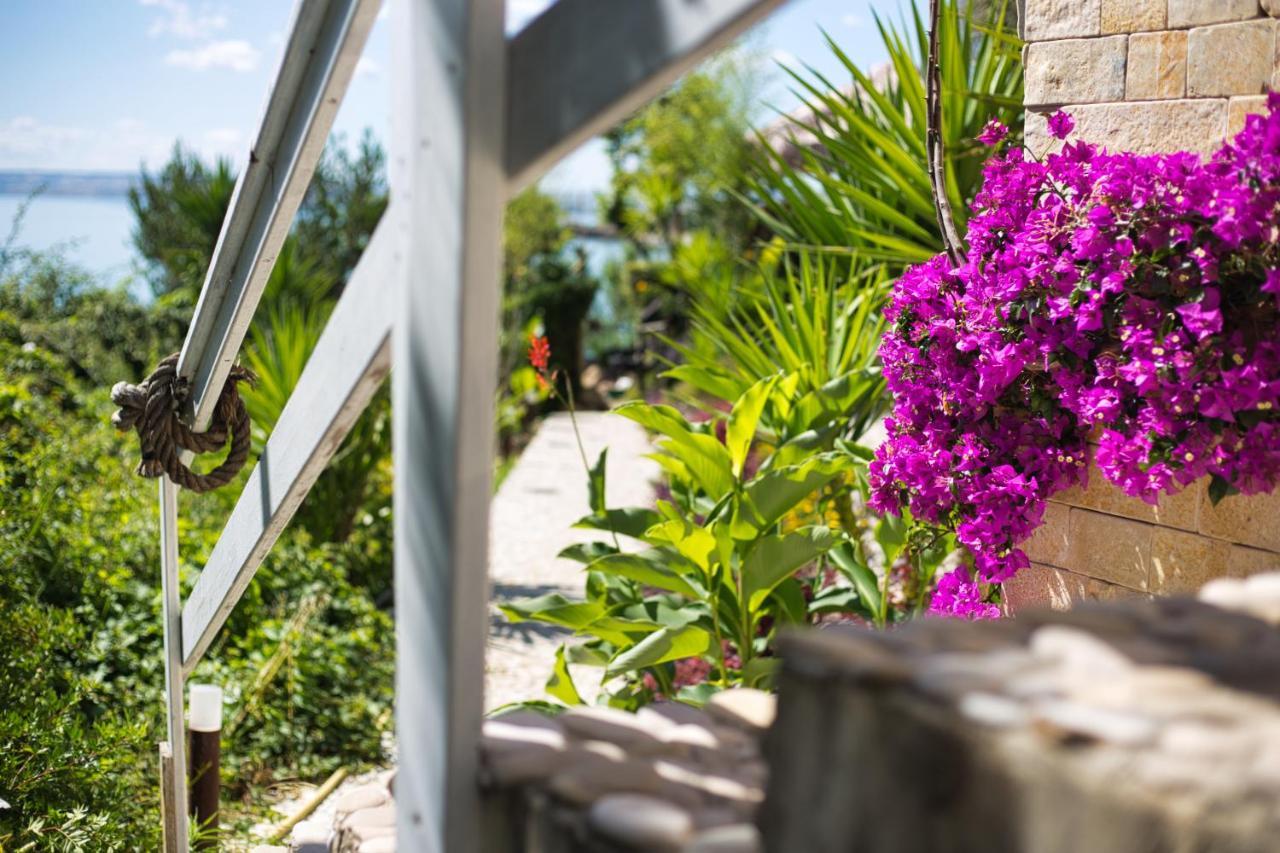Residenze Longhi Bed & Breakfast